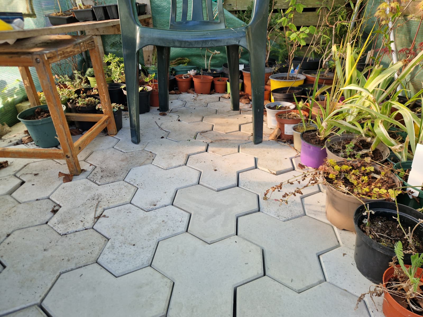Photo of Paver Blocks